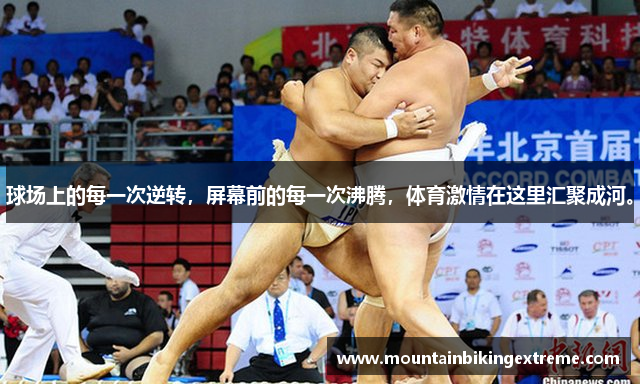 球场上的每一次逆转，屏幕前的每一次沸腾，体育激情在这里汇聚成河。